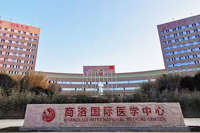 醫(yī)用氣體工程，醫(yī)用分子篩制氧系統(tǒng)